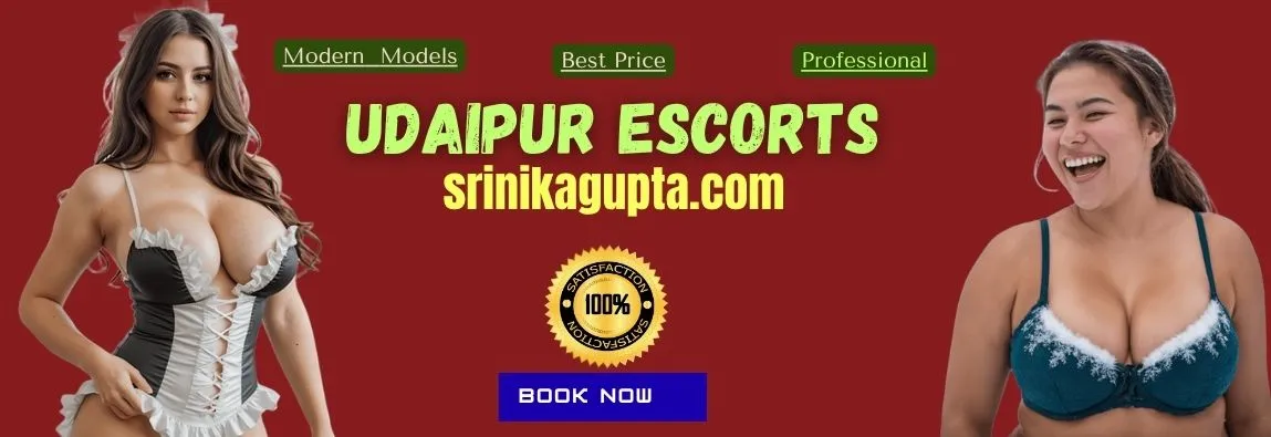 udaipur escort service banner